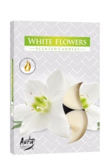 PODGRZEWACZE 6szt Białe kwiaty